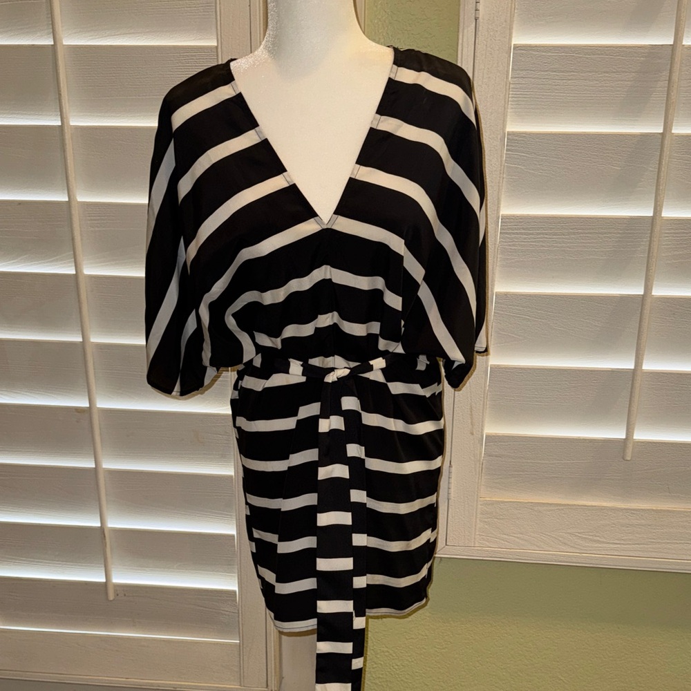 Collective Concepts Black and White Striped Mini Dress